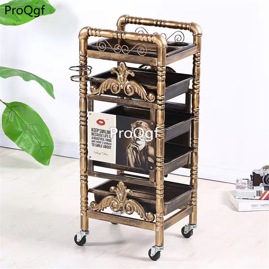 Prodgf 1 Stuks Een Set Verwijderbare Kapsalon Trolley: 12