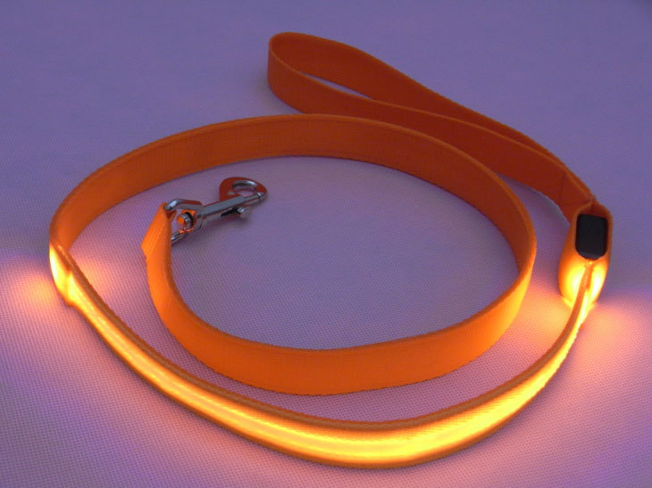 Nylon led-oplichtende hondenriem voor nachtveiligheid, knipperende led-hondenhalsband met lichtgevende verlichting, huisdierbenodigdheden, kattentekening, kleine riem met led-verlichting voor honden.: Oranje