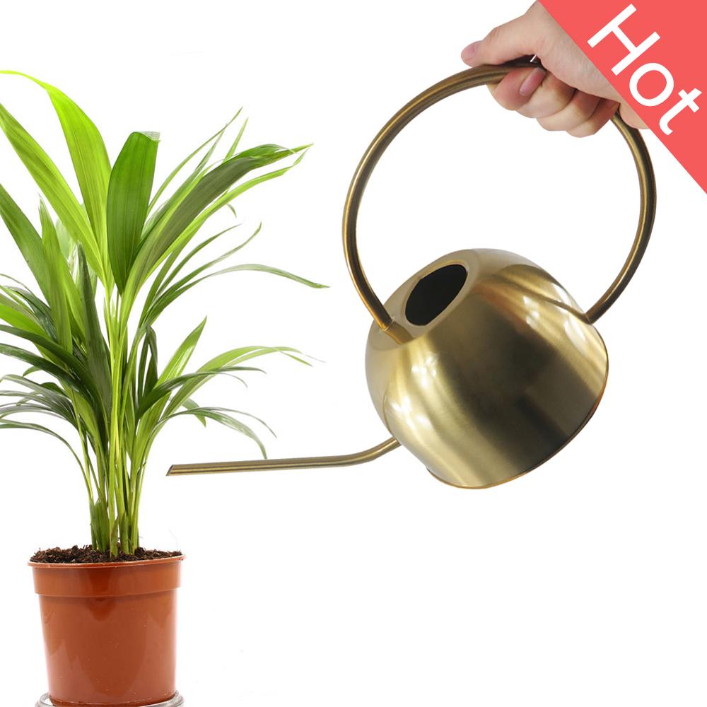 Lille kedel 1500ml vandkande til indendørs stueplanter lang tud børstet rustfrit stål vandkande graden vanding