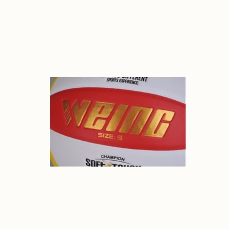 WEING WF-265 resistente al desgaste interior y adiestramiento al aire libre competición voleibol inflable