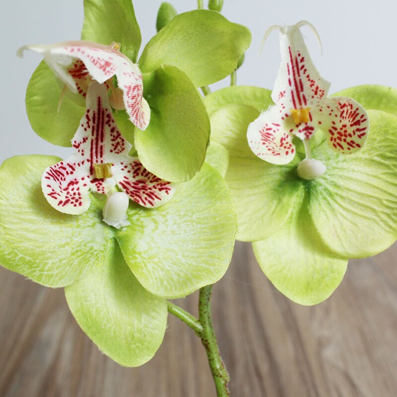 29cm de haut soie fleur artificielle papillon orchidée fleur d'orchidée pour nouvelle maison maison mariage Festival décor Simulation fleur