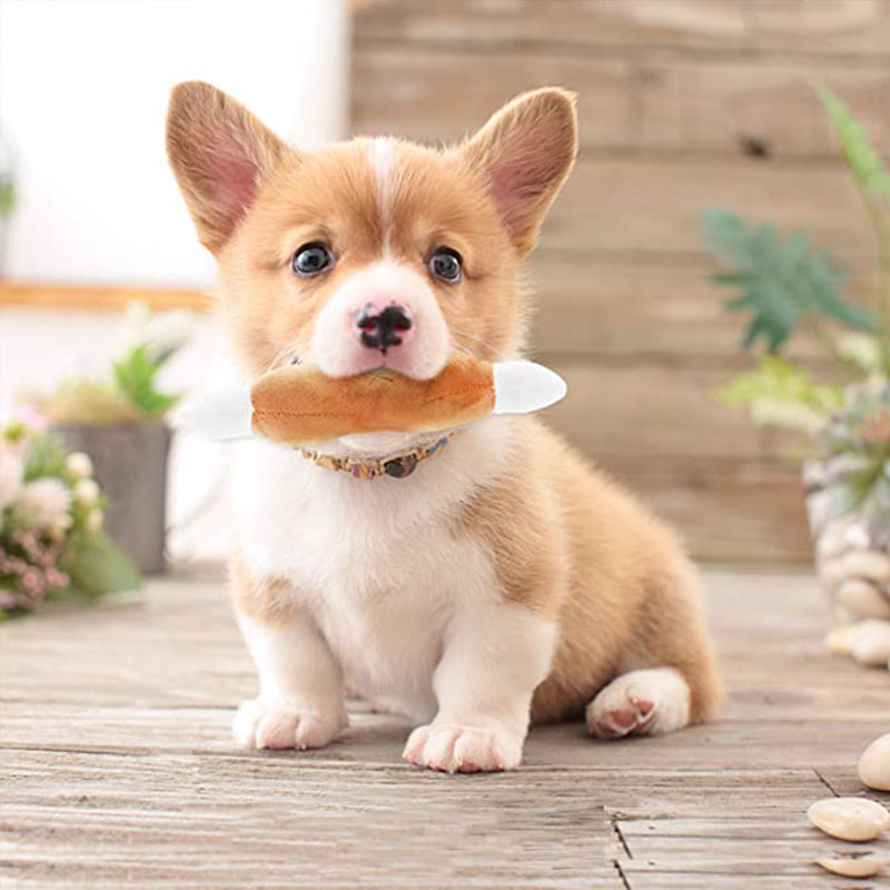 Juguetes chirriantes para perros y gatos, juguete de peluche suave para mascotas, pequeño juguete para perros pequeños, Chihuahua, Pomerania, Happy Time, suministros para mascotas