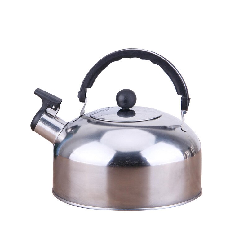 2/3/4L Rvs Fluitketel Vlakke Bodem Waterkoker Theepot Keukengerei Voor Gasfornuis Inductie Fornuis: 2L