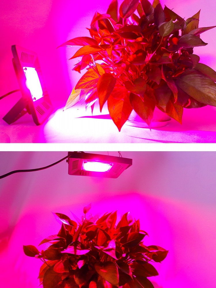 Volledig spectrum led kweeklamp waterdicht 100w 200w 300w cob groeilamp voor planten kweeklamp binnen hydrocultuurlamp 220v