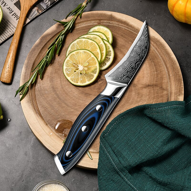 Grandsharp 3.5 Inch Paring Knife vg10 Japanese 67 Layers Damascus Steel Peeling Fruit Kitchen Knife with G10 Handle