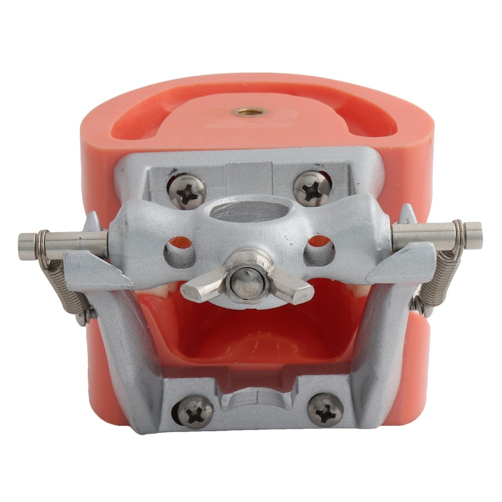 Dental Model Teeth Model Teaching Model Standard Model with 32 Screw-in Teeth Demonstration Teeth Model Fit Nissin Hard Gums