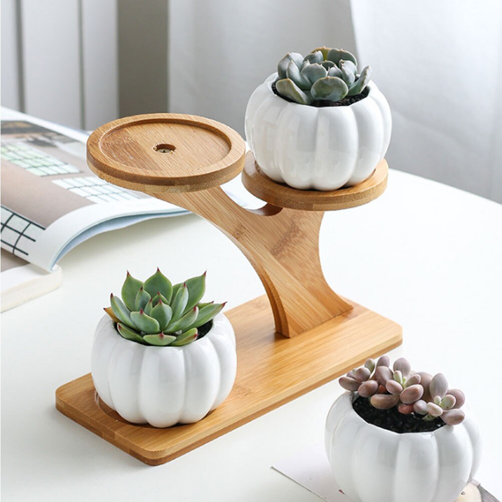 Ceramic Round Succulent Planter Flower Pot Oblate Flowerpot Treetop Bamboo Stand Garden Pots & Planters Flower Pots & Planters