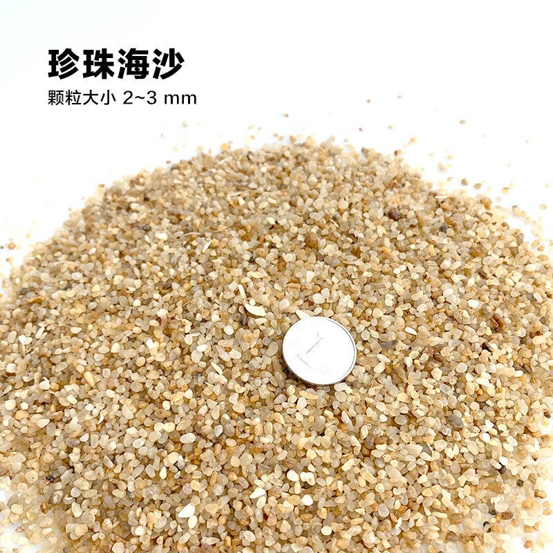 Aquarium accessories Fish tank bottom sand-making scenery sand color stone white-stone white sand-bottomed sand terracotta: Pearl Sea Sand