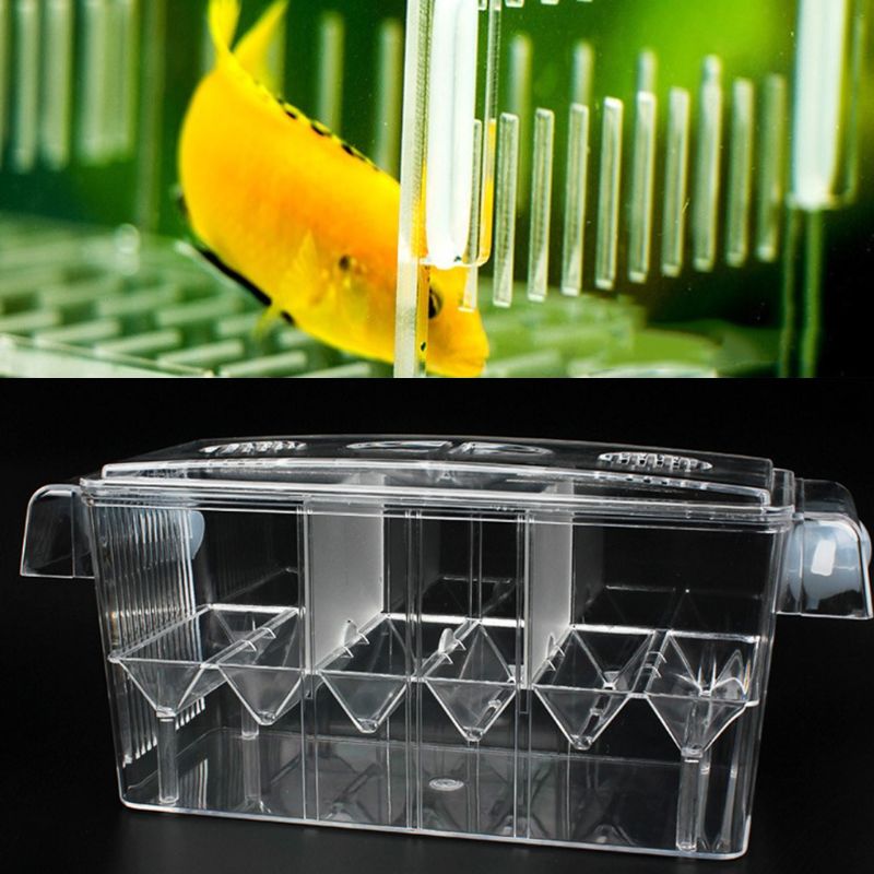 Aquarium Isolation Hatching Box Acrylic Fish Tank ... – Vicedeal