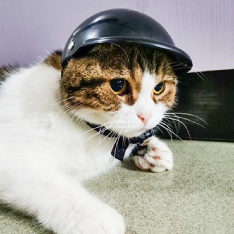 Casco per cani per cucciolo chihuahua Doggie Hardhat per moto moto attività tutto'aperto protezione della testa accessori per cani da compagnia resistenti al suola