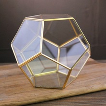 Dodecaëder Glas Kas Groene Plant Transparante Creatieve Mos Micro Landschap Vlezige Bloempot