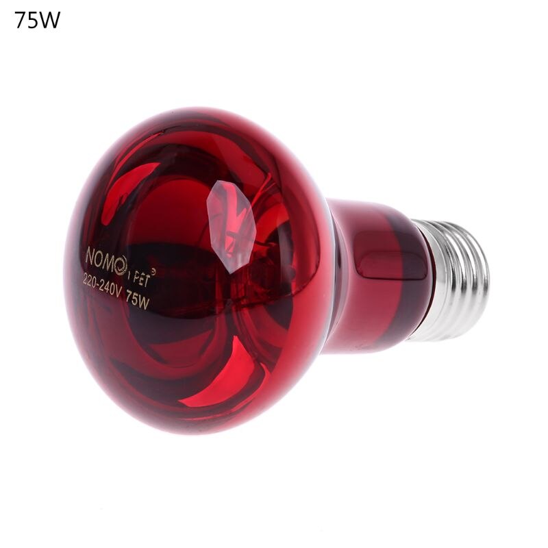 Reptile Amphibian Infrared Heat Bulb Uva Glass Daylight Moonlight Basking Spot