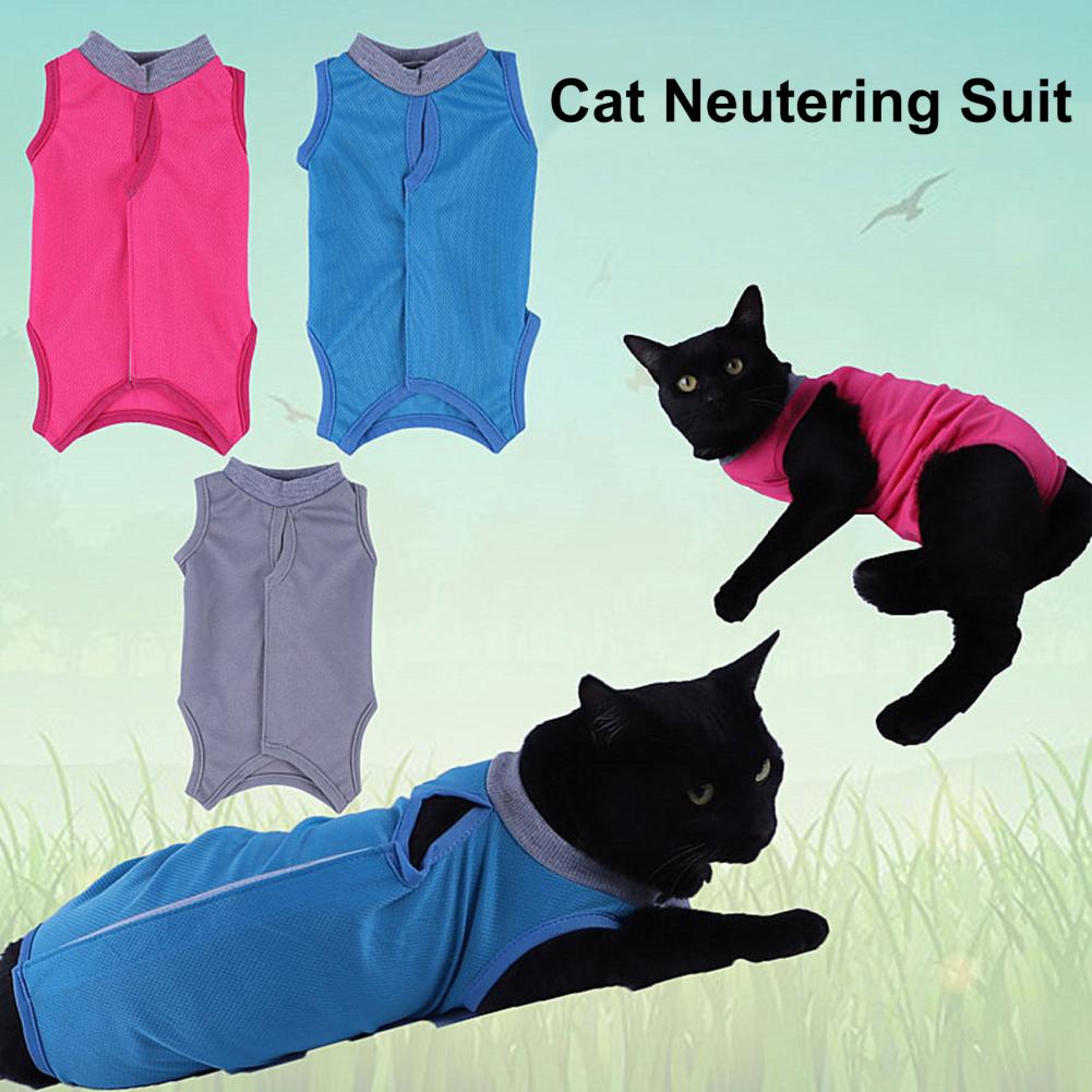 Combinaison neutre pour chat, combinaison de récupération confortable, réglable, Anti-léchage, vêtements de stérilisation, fournitures pour animaux de compagnie, gilet à sangle corporelle