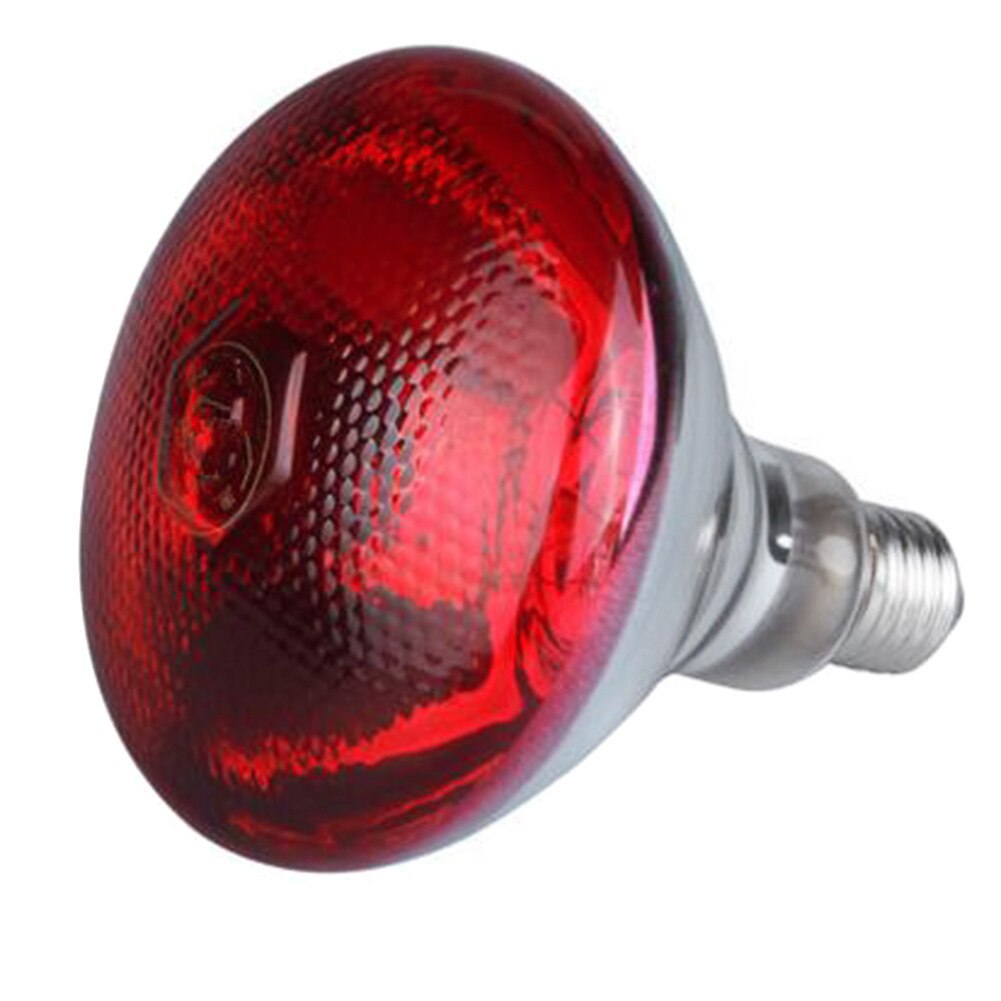 Lampe infrarouge 240V, étanche, pour couveuse de volaille, ampoule pour chiot, cochon, LKS99