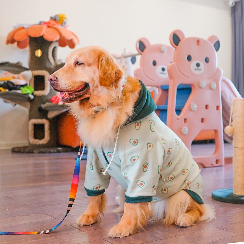 ]Large dog clothes autumn and winter clothes Labrador Golden Retriever Samoyed autumn and winter clothes