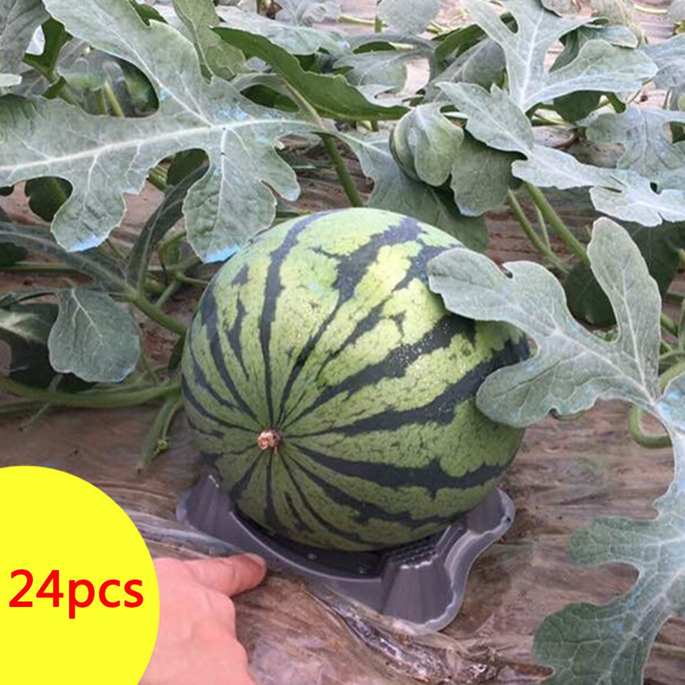 Soporte de melón de plástico, 24 Uds., soporte para planta de jardín para evitar roturas para fruta de calabaza y sandía