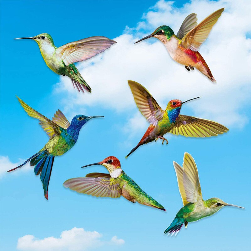 6/8 Pcs Hummingbird Window Clings Window Decor Decals Unique Window Decor Film
