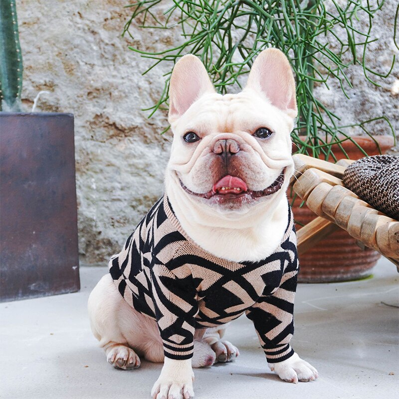Camisola do cão macio clássico animal de estimação roupa casual traje moda cardigan camisola casaco de malha para schnauzer bulldog roupas de cachorro