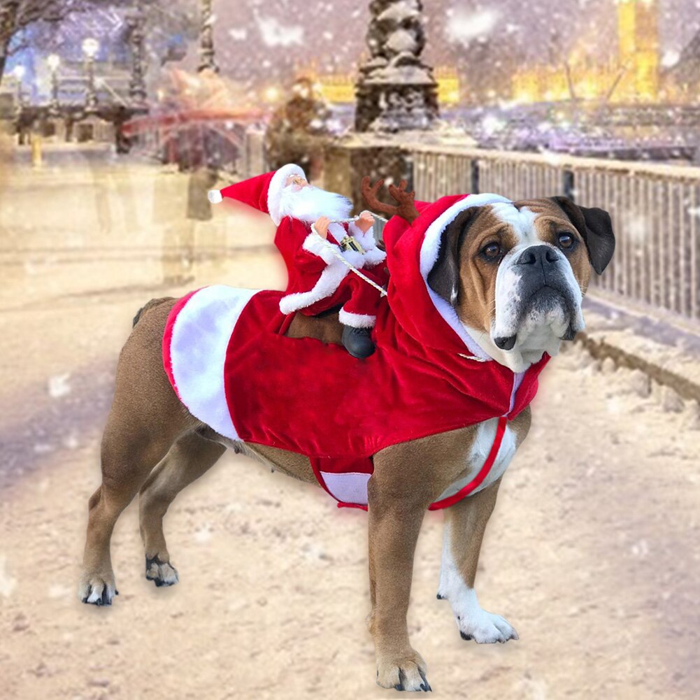 thumbnail image 2 of 2PCS Pet Christmas Costume Outfit Santa Hat Scarf For Small Cats Dogs Xmas Set 2 of 10