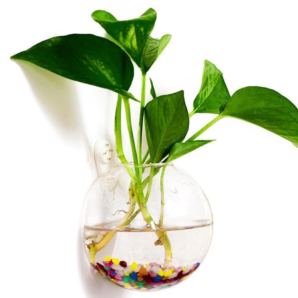 Pot Plant Wall Hanging Fish Bowl Aquarium Tank Aquatic Pet Supplies Pet Products Wall Mount Fish Tank Home Decoration