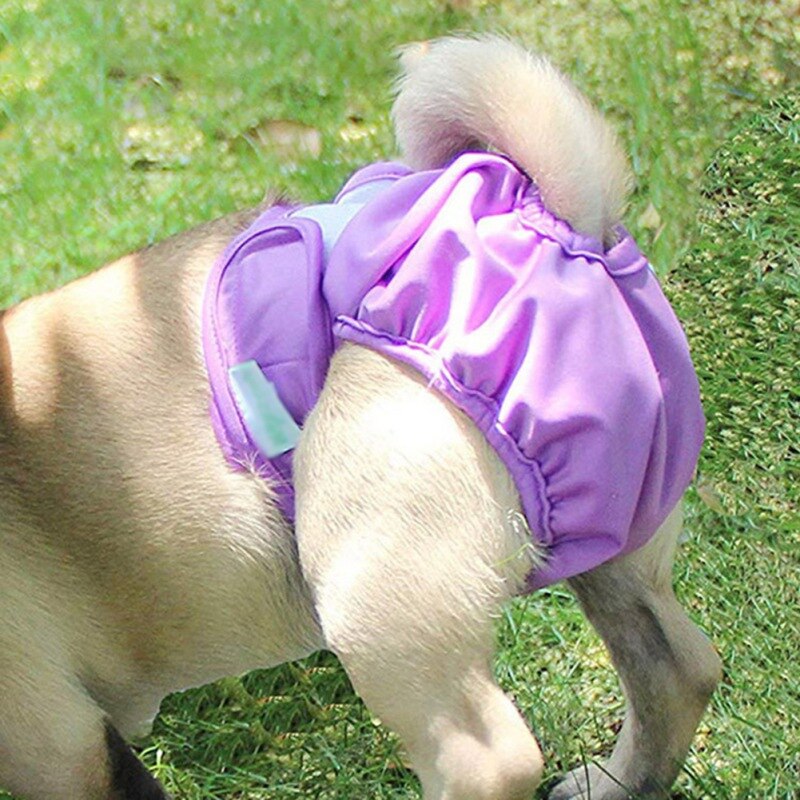 Bragas transpirables suaves para perros, pañales lavables para Fisiología, pantalones cortos para cachorros sin entrenamiento, para perros y mujeres, con suministros de calor, XS-XL