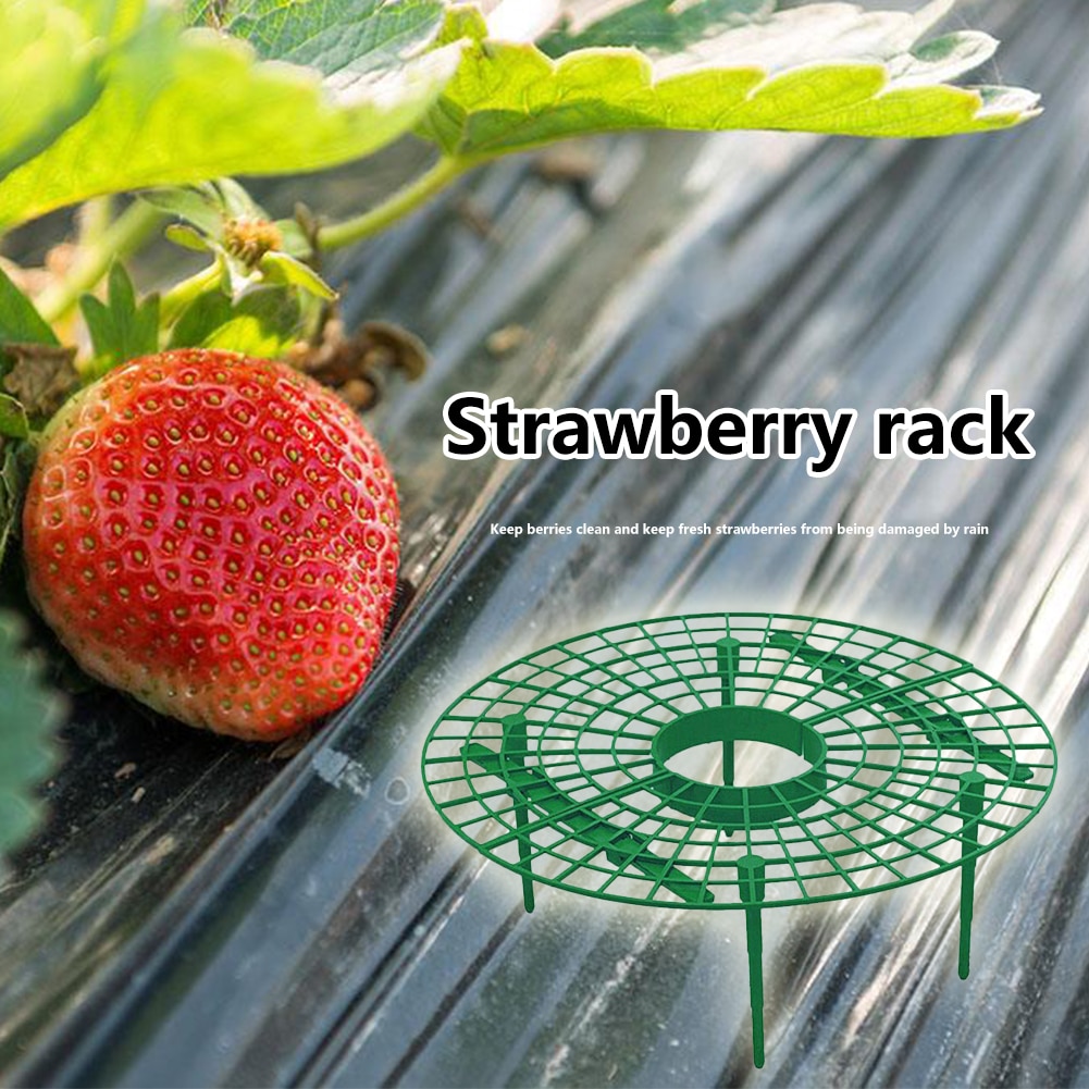 WUHNGD 10 Pack Aardbei Ondersteunt Ronde Aardbei Plant Stand met 4 Stevige Benen Tuinplant Ondersteunt Kooien Aardbei Groeiende Rekken Frame Bescherming van Planten WUHNGD 10 Pack Aardbei Ondersteunt Ronde Aardbei Plant Stand met 4 Stevige Benen Tuinplant Ondersteunt Kooien Aardbei Groeiende Rekken Frame Bescherming van Planten