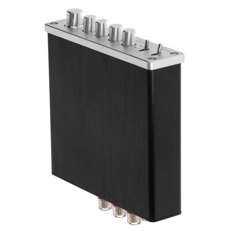 Digital Power Amplifier 100W DC12V-24V Aluminum Alloy Hi-Fi Stereo Audio High Power Amp for Home Speakers Large Heat Dissipation