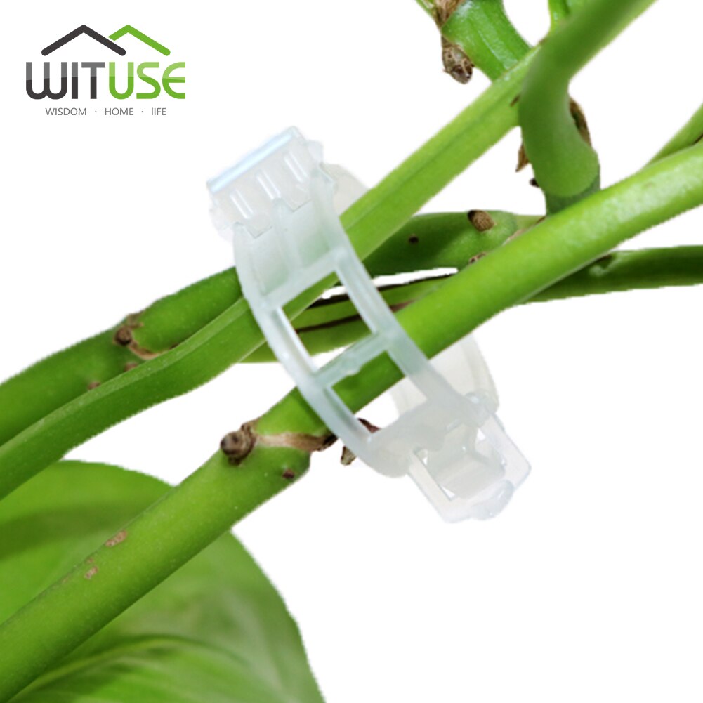 100/400/800 Stuks Plastic Plant Wijnstok Stem Clips Sluiting Ring Gesp Voor Druif Tomaat Fruit Groente Klimmen plant