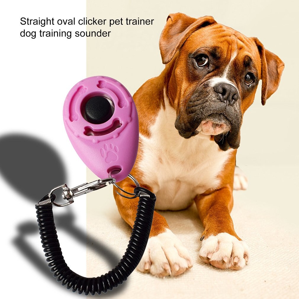 Oval Singer Clicker Pet Trainer Training Dog Singer Training Dog Pet Dog Training Ring Pet Trainer Training Dog