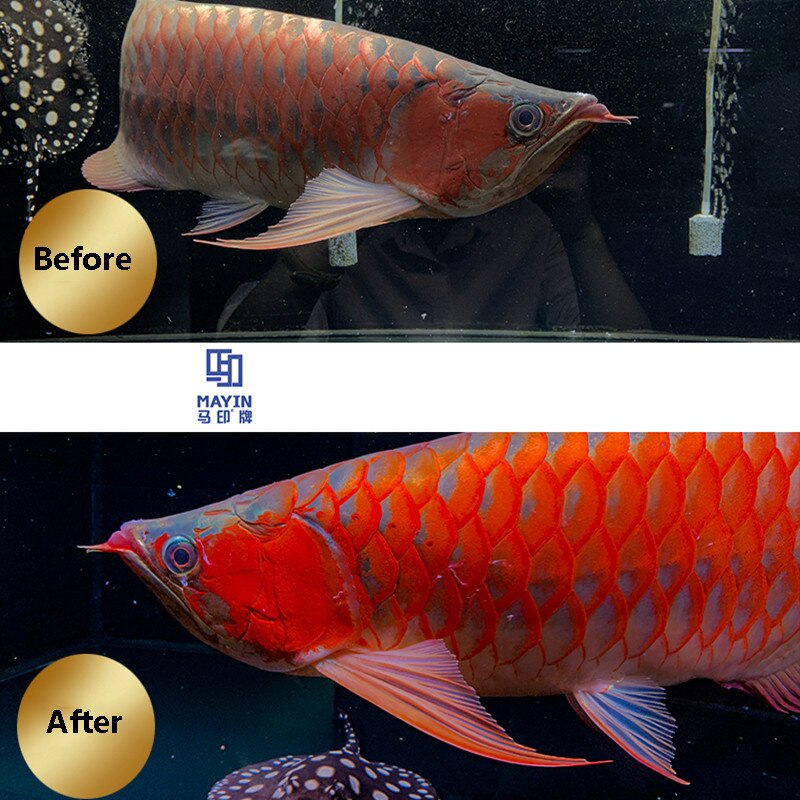 52CM MAYIN light for aquarium Waterproof Arowana LED lamp fish tank Light tube Aquatic lamp