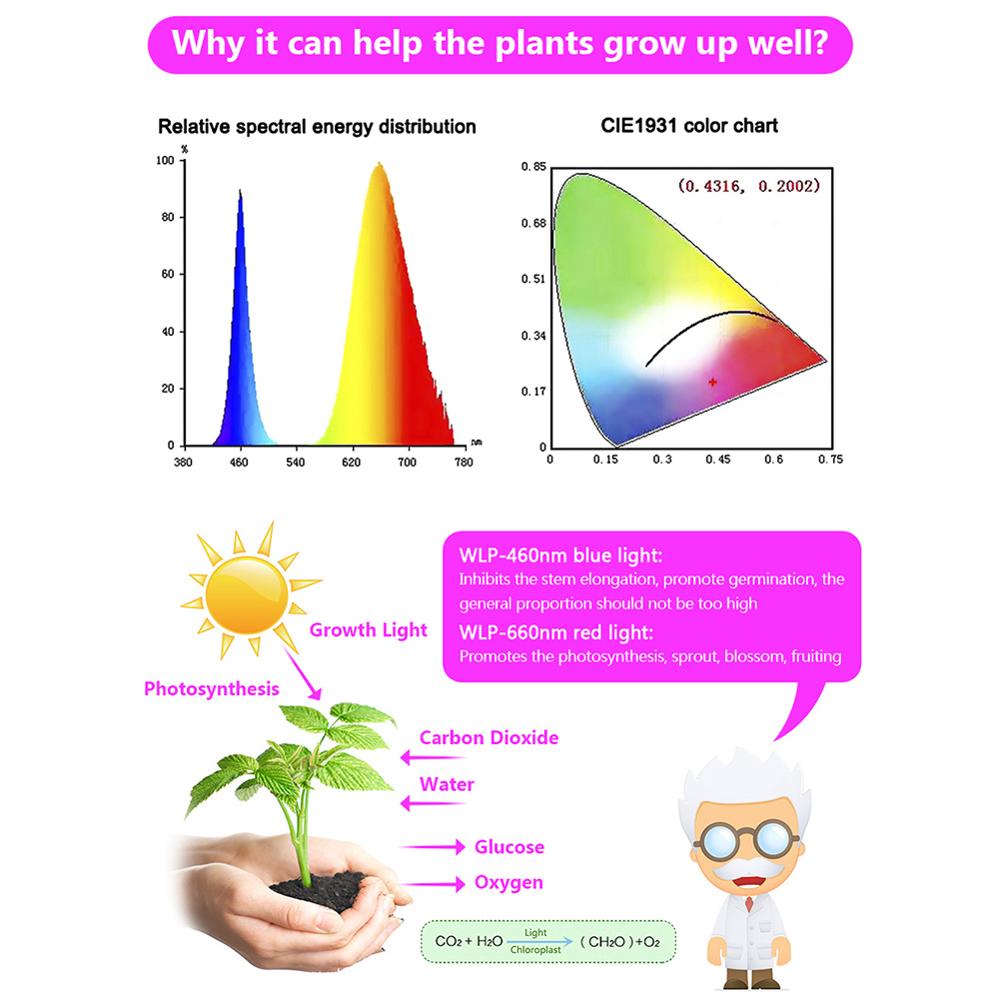 Led vækstlys fuldt spektrum usb vækstlysstrimmel 0.5m 1m 2m 3m 2835 5v 60 led phyto tape til frøplanter blomster drivhuse