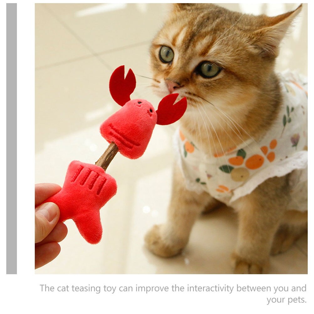 2 stück entzückendes katzenspielzeug, interaktive katzenangeln, katzenaccessoires