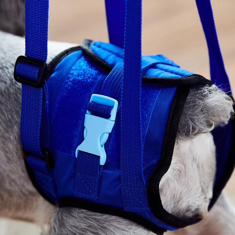 Hundeløftesele til bagben justerbar kæledyrsstøtte slynge hjælp svage ben oprejst hunde snorhjælp hjælpeværktøj