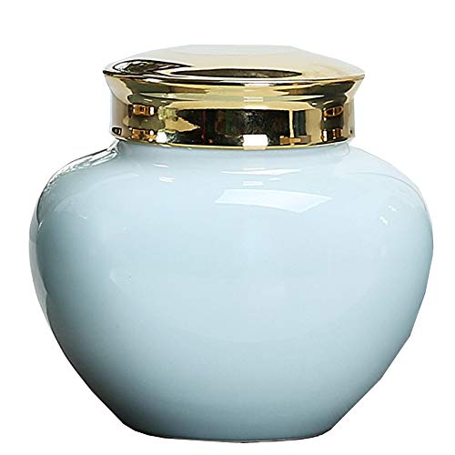 Huisdieren Urn Begrafenis Urn Keramiek Fpr Grote Huisdier Dubbele Cover Seal Waterdicht Voor Een Kleine Hoeveelheid Menselijk As: D