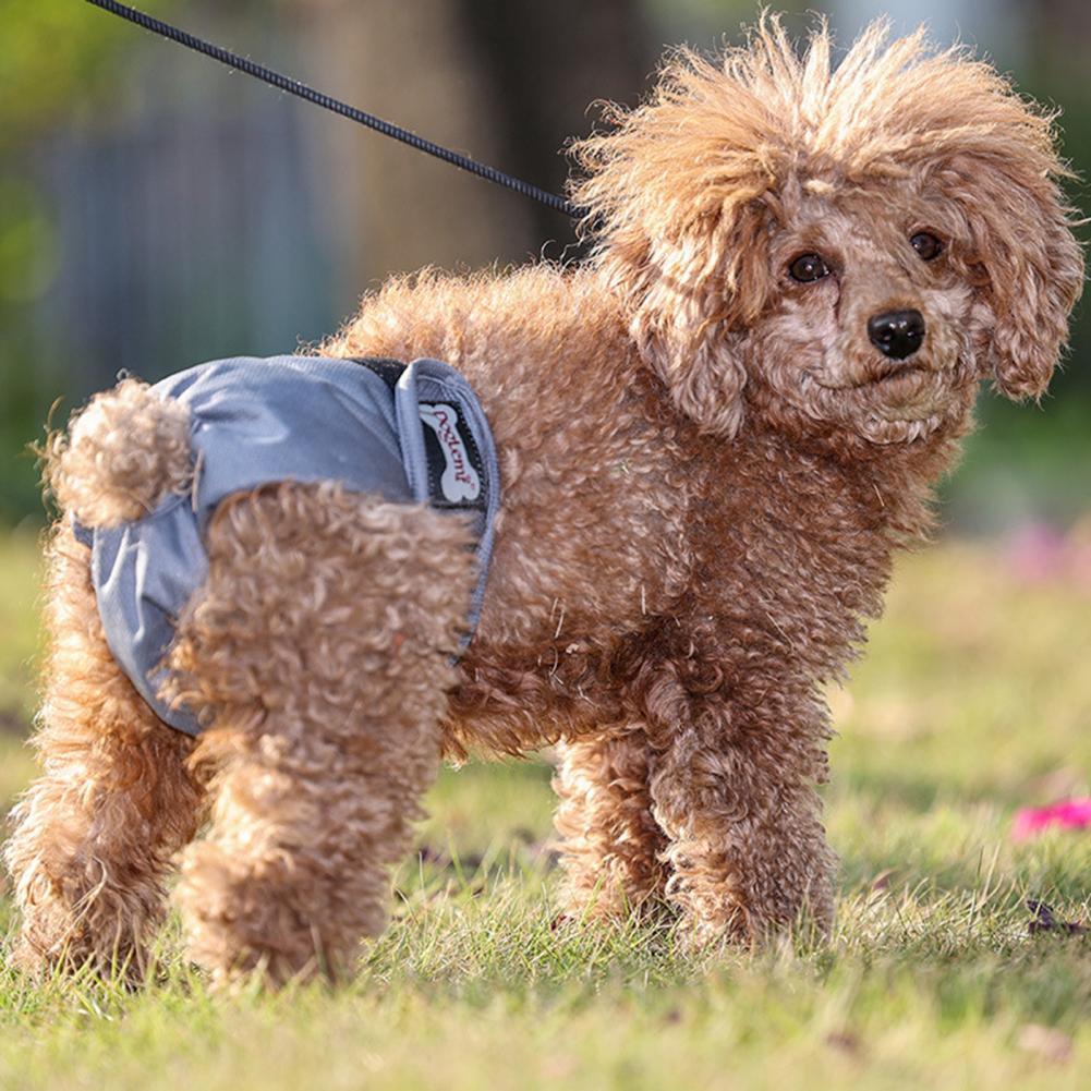 Useful Puppy Pants Soft Touching 5 Sizes Pet Diaper Pants Pet Puppy Physiological Pants for Outdoor Dogs Diapers