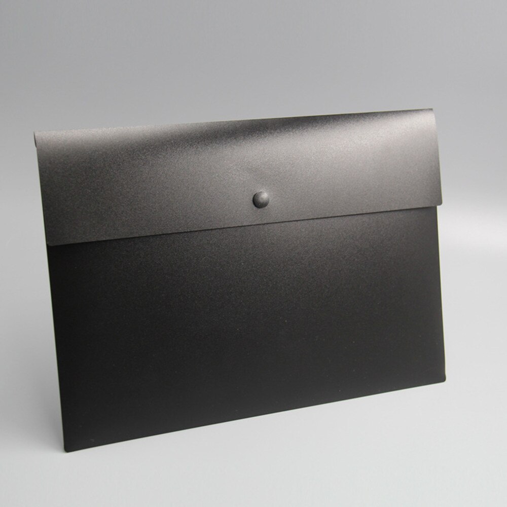 A4 Frosted File Folder Janpanese Style Snapper Doc... – Grandado