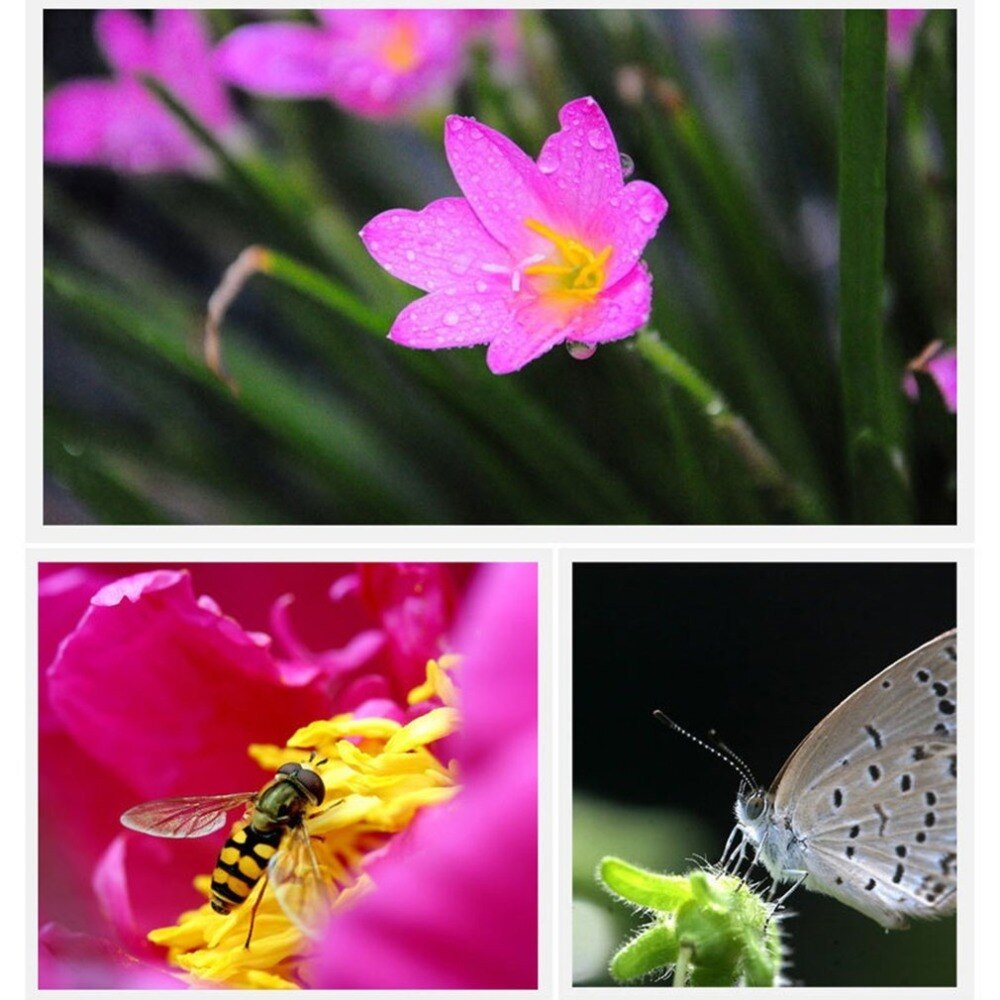 3-in-1 Wide Angle Macro Fisheye Lens Mini Pocket Focus Camera Mobile Phone Magnifier with Clip 0.67x Kits for iOS Android Phone