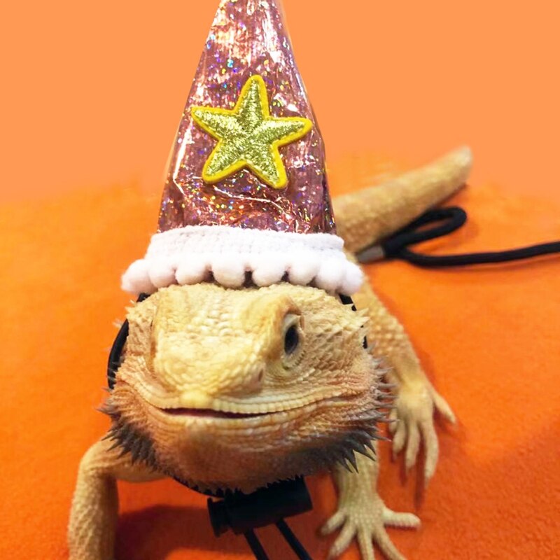 Baardagaam Verjaardag Hoed Leash En Harnas Van Baby Tot Juveniele Verstelbare Lederen Hagedis Walking Leash Sml 3 pack Y5GB