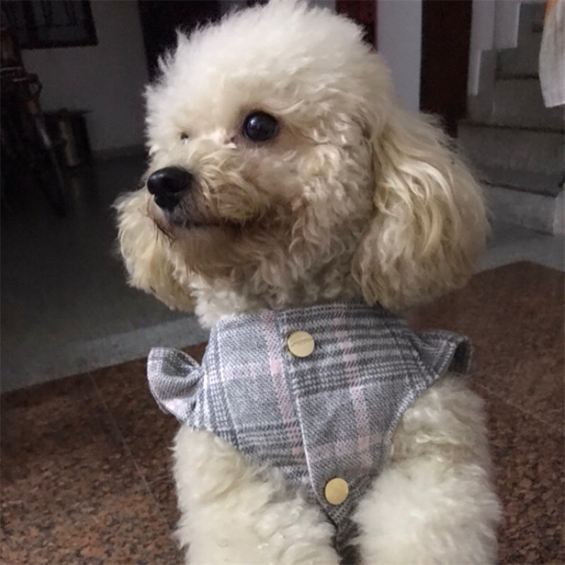 Kat Puppy Dog Jurk Winter Pet Jurken Chihuahua Yorkie Maltese Hond Kleding Poedel Bichon Pommeren Schnauzer Huisdier Kleding