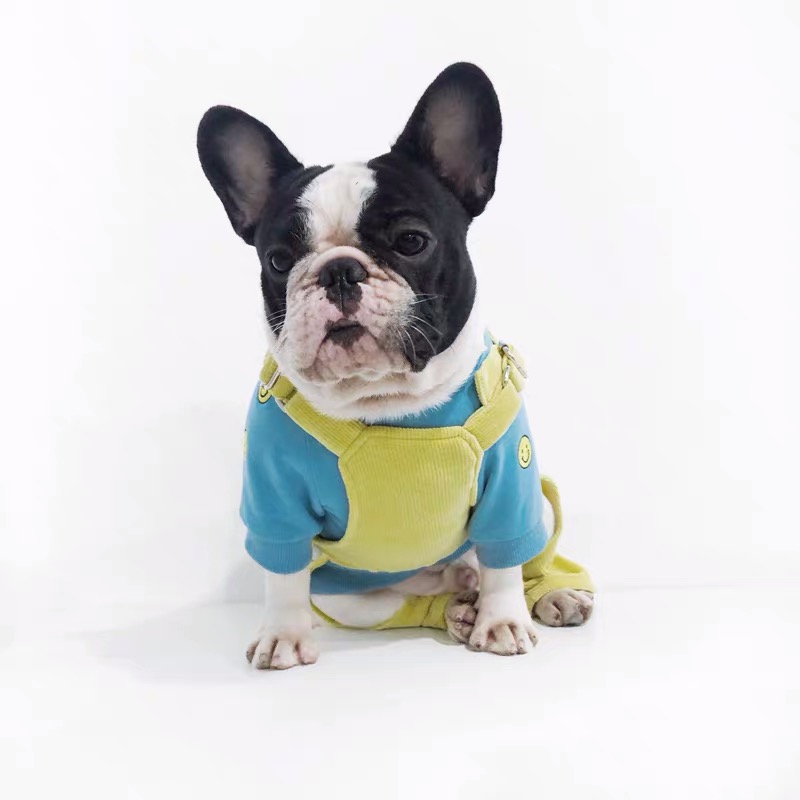 Französisch Bulldogge Overall Haustier Hund 4 beine Warme Kleidung Für Kleine Mittel Welpen Hunde Kleidung Schnauzer LAC02