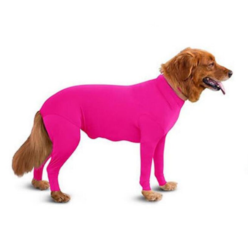 Combinaison anti-chute pour chien, vêtement de Sport, anti-chute, pour récupérer les poils de chien, combinaison pour animaux de compagnie, chemise calmante pour l&#39;anxiété: SCARLET / M