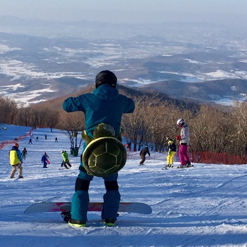 Équipement de protection pour le ski Patinage Snowboard, Coussin de tortue  mignonne
