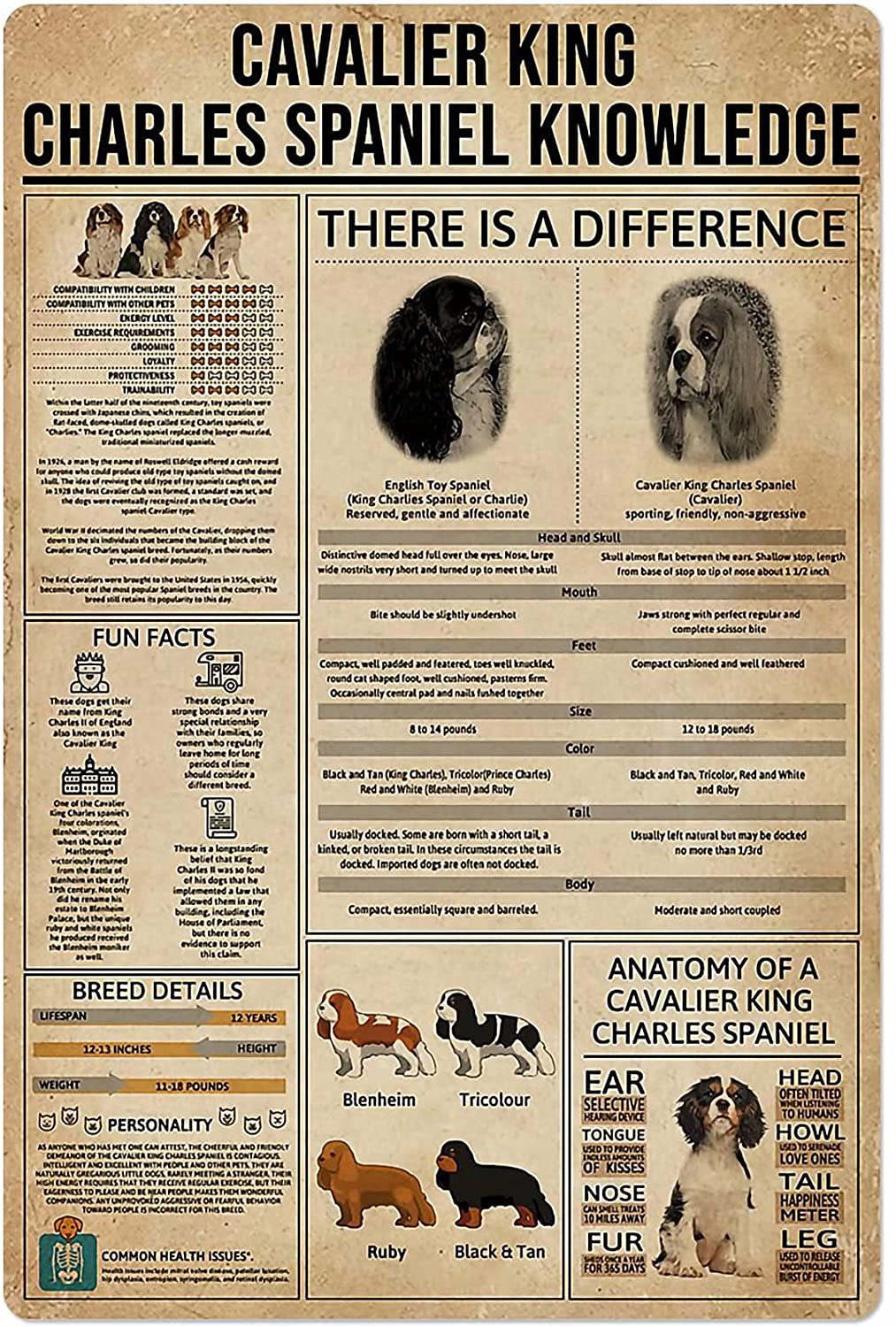 Dog Anatomy Metal Tin Sign Australian Cattle Dog Knowledge Poster Farm School Education Club Garage Wall Decor Plaque 8x12 Inch: Cavalier King / 8x12inch