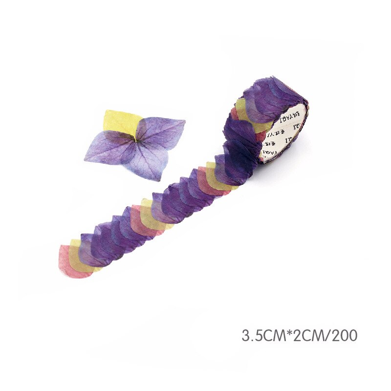 Painter's tape and masking tape - De