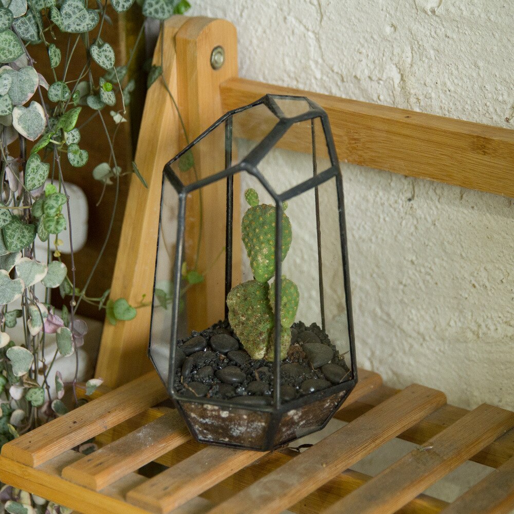 Glas terrarium planter have bordplade miniature uregelmæssig geometrisk glas blomsterpotte til sukkulenter mos bregner plante terrarium