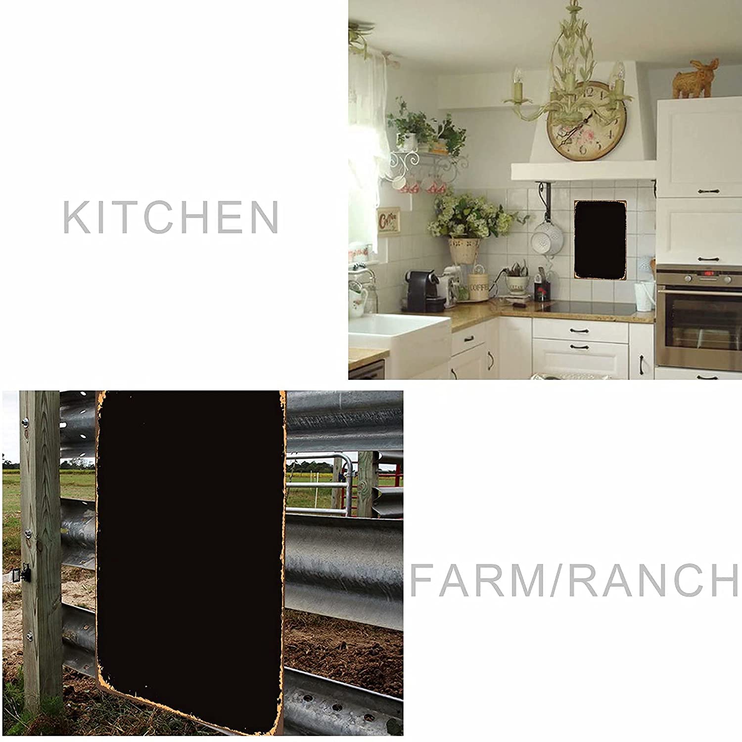 Dog Anatomy Metal Tin Sign Australian Cattle Dog Knowledge Poster Farm School Education Club Garage Wall Decor Plaque 8x12 Inch