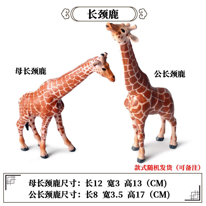 2 Stuks Wild Jungle Zoo Animal Model Actiefiguren Leeuw Tige Rhino Cheetah Collection Beeldjes Educatief Speelgoed Voor Kinderen: 2pcs Giraffe A