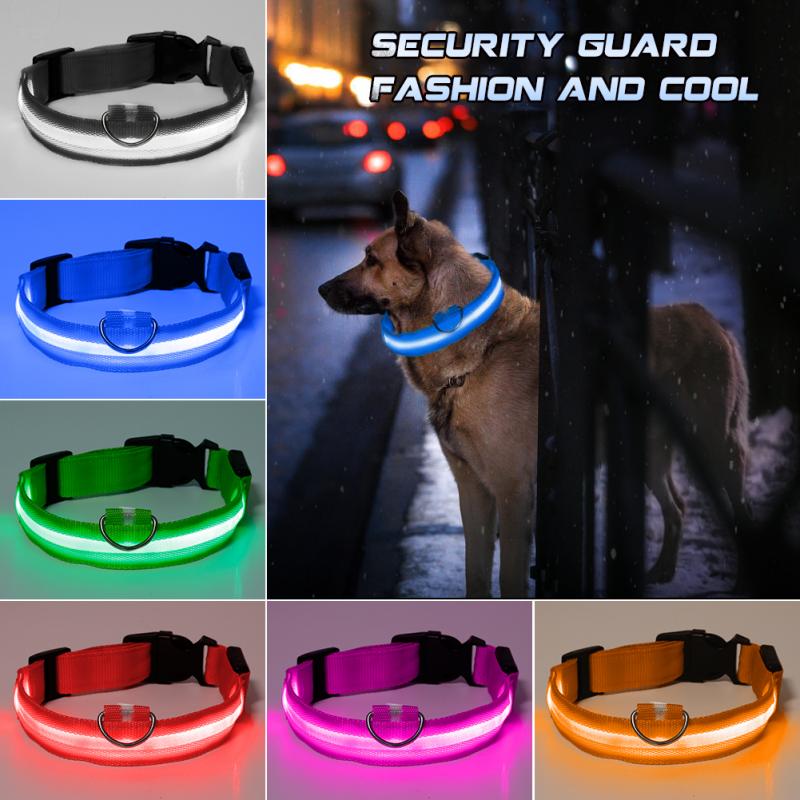Collier lumineux clignotant LED pour chien, accessoire de sécurité pour la marche en plein air, pour éviter les accidents de voiture