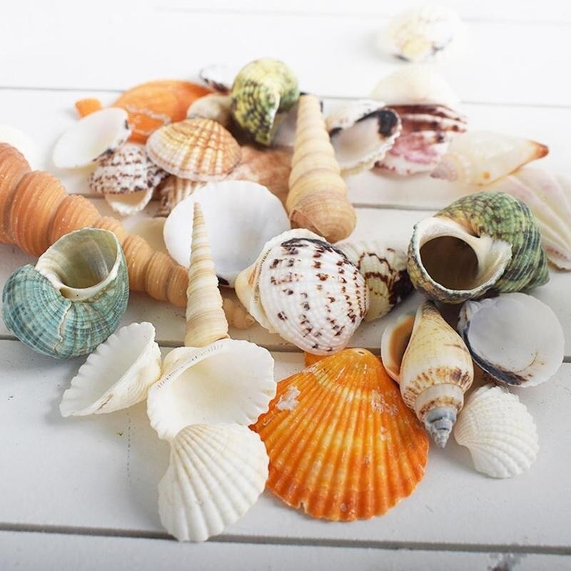 Mix Natuurlijke Schelpen Conch Coquillage Strand Decor Craft Diy Marine Stijl Aquarium Schelpen Conch Versiering Home Decor