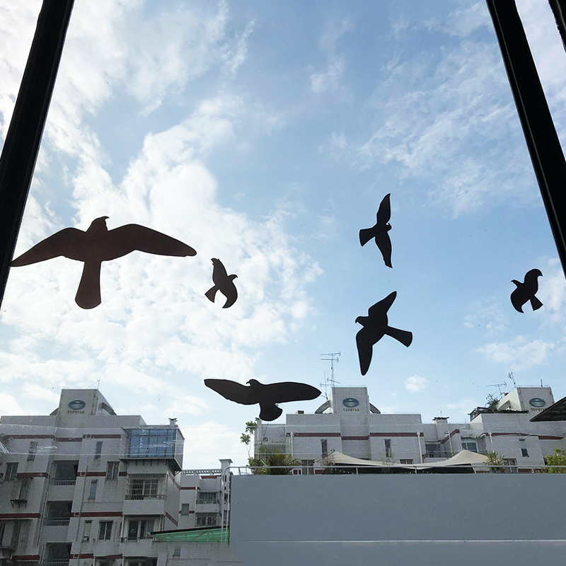 Protection de vitre contre les coups d'oiseaux, Silhouette d'oiseau de pigeon, Film répulsif dissuasif